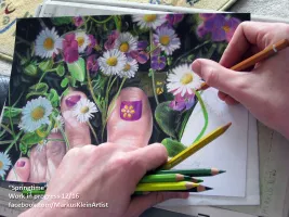 Springtime Feet . Colored pencil drawing WIP
© markus-klein-artwork.de
