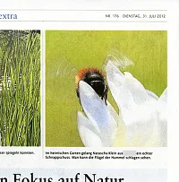 Newspaper publication "Bee"